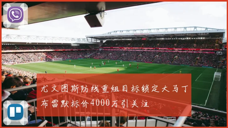 尤文图斯防线重组目标锁定大马丁布雷默标价4000万引关注